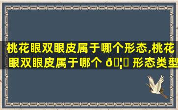 桃花眼双眼皮属于哪个形态,桃花眼双眼皮属于哪个 🦊 形态类型